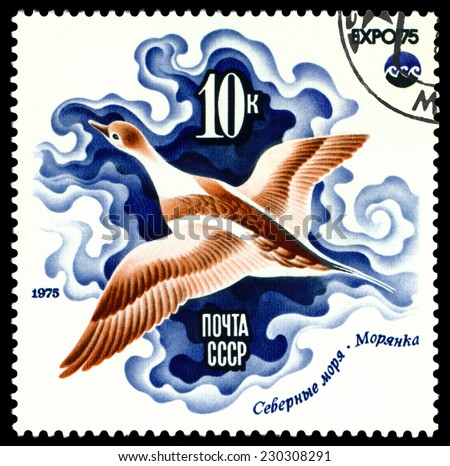 RUSSIA - CIRCA 1975: a stamp printed by Russia, show Sea duck, Arctic Sea, series, circa 1975