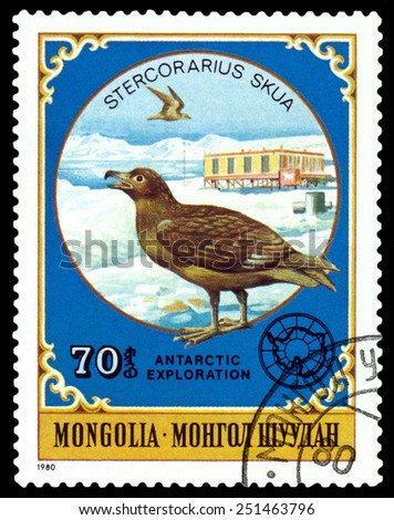 MONGOLIA - CIRCA 1980: a stamp printed by Mongolia  shows  Stercorarius Skua,  Antarctic Animals and exploration,  circa 1980