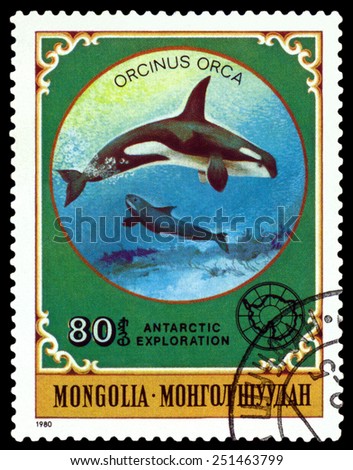 MONGOLIA - CIRCA 1980: a stamp printed by Mongolia  shows  Grampus,  Antarctic Animals and exploration,  circa 1980