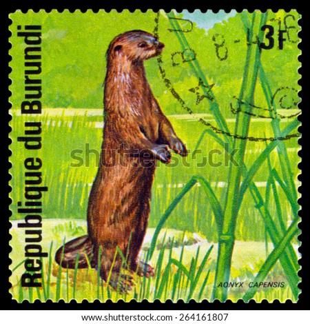 BURUNDI - CIRCA 1975: A stamp printed by Burundi shows African small-clawed otter, Animals Burundi, circa 1975.