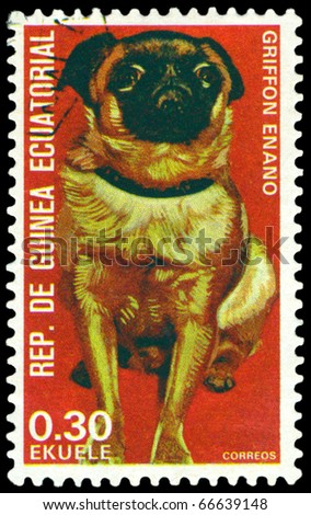 EQUATORIAL GUINEA - CIRCA 1974: A stamp printed by  EQUATORIAL GUINEA shows dog Griffon dwarf, series, circa 1974