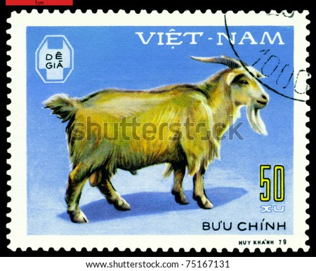VIETNAM - CIRCA 1979: A stamp printed in Vietnam  shows  Goat, series  Domestic  Animals, circa 1979
