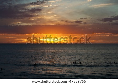 Ocean sunset view with swimmer silhouettes