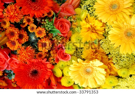 orange and yellow roses and gerbera flowers