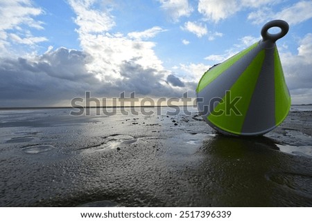 Similar – Image, Stock Photo wet sandy shore on sunny day in beach