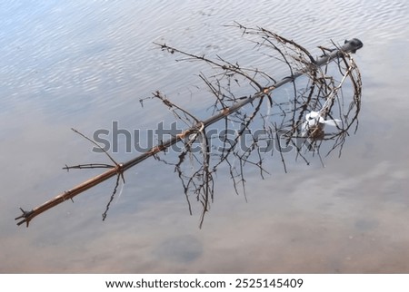 Similar – Image, Stock Photo Plastic waste in branches of a bare tree in front of a glass facade