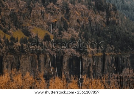 Similar – Image, Stock Photo Majestic waterfall in dark forest