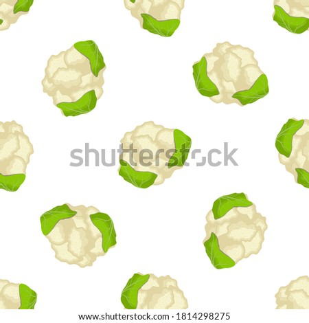 Illustration on theme of bright pattern cabbage, vegetable cauliflower for seal. Vegetable pattern consisting of beautiful cabbage, many cauliflower. Simple vegetable pattern from cauliflower cabbage.