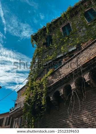 Similar – Image, Stock Photo Italian backyard with shutters and clothesline in early summer