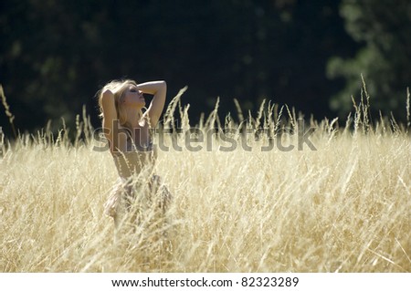 Bride in a golden field in summer afternoon