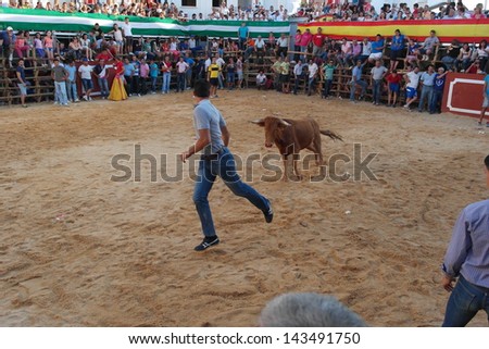 SAN JUAN, HUELVA, SPAIN - JUNE 23: Saint John the Baptist Day. People celebrate by running of the Bulls is the most popular celebration in Andalusia on June 23, 2013 in San Juan, Huelva, Spain