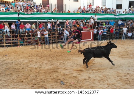 SAN JUAN, HUELVA, SPAIN - JUNE 23: The feast day of Saint John the Baptist. A man jumps over bull at during most popular celebration in Andalusia on June 23, 2013 in San Juan, Huelva, Spain