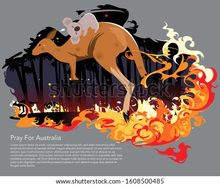 Kangaroo with coala on back running from wild fire burning. Wild fire burning animals with text Pray for Australia  Vector and Illustrator.