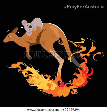 Kangaroo with coala on back running from wild fire burning on black with text Pray for Australia  Vector and Illustrator.