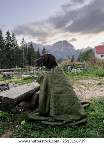 Similar – Foto Bild Schroffer Berggipfel eingehüllt in dunkle Wolken