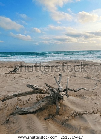 Similar – Foto Bild la mer Meer Nordsee