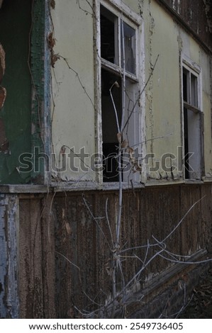 Similar – Image, Stock Photo abandoned house among the trees in the city of Chernobyl