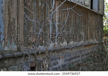 Similar – Foto Bild verlassenes Haus zwischen den Bäumen in Tschernobyl