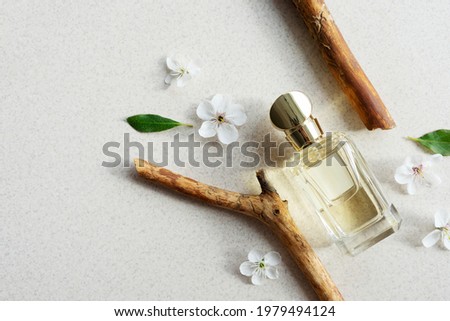 glass perfume bottle on light background with wooden fragments and flowers with sunlight. Summer floral woody perfume concept. Copy space