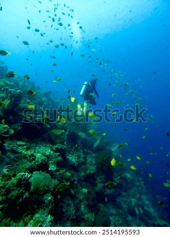 Similar – Image, Stock Photo Diver surrounded by bubbles jumping in water