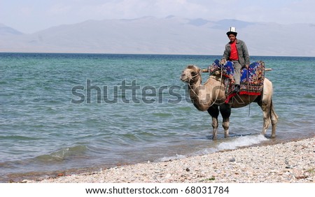ISSYK KUL, KYRGYZSTAN - JULY 2: Man and camel stand on the beach on July 2, 2010 at Issyk Kul, Kyrgyzstan. Camels are being introduced to this mountainous country for their meat, milk and hide.