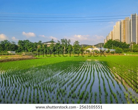 Similar – Image, Stock Photo Nature meets urbanity