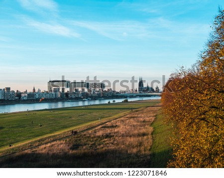 Image, Stock Photo autumn the poller Meadow in cologne germany at the rhine shore