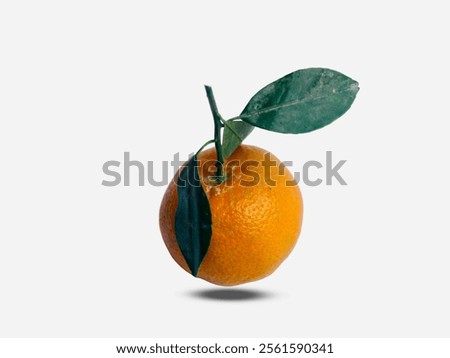 Similar – Foto Bild Floating suspendiert orange weiße Kugeln in blauem Hintergrund.3D-Render glänzende Kugeln.Pastellfarben pantone. Abstrakter Hintergrund. Wissenschaft Physik Nano-Rendering Kugeln moderne Kunst pop.Copy Raum Raum