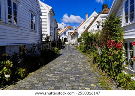 Similar – Image, Stock Photo Old town with white houses and stone ruins at sunset