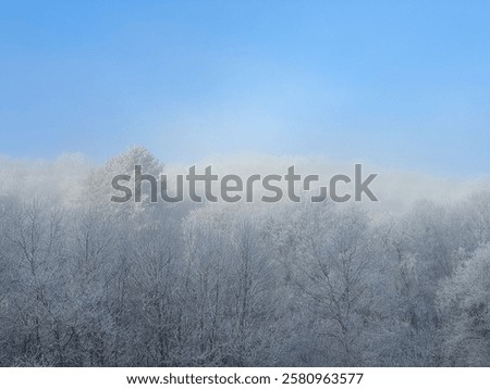 Similar – Foto Bild Winterwald unter nebligem Himmel am Abend