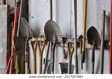 Similar – Image, Stock Photo Tools for gardening at home. Growing food on windowsill. Copyspace for text. Top view. Flatlay on pink background.