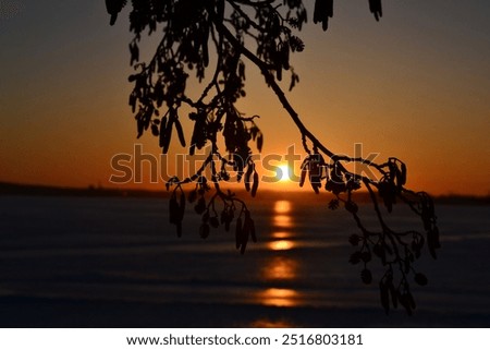 Similar – Image, Stock Photo Sunset in Finland on lake with birch leaves