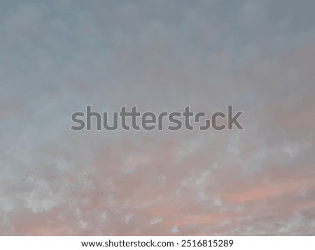 Similar – Image, Stock Photo Sky with sheep clouds