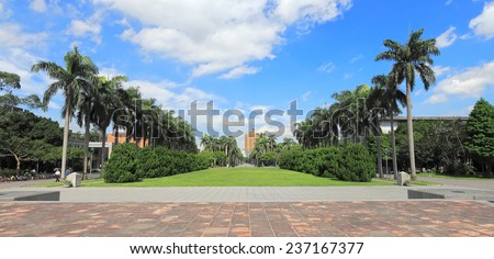 Palm Avenue , a famous road in national taiwan university , best university in Taiwan, founded in 1928.