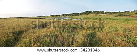 A panoramic view of a wetland in the iSimangaliso Wetland Park, South Africa