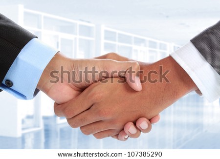 close up portrait of Two businessman\'s hand shake