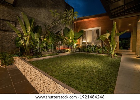 tropical Backyard Garden Illumination. Illuminated Garden at Night with Various of Plants