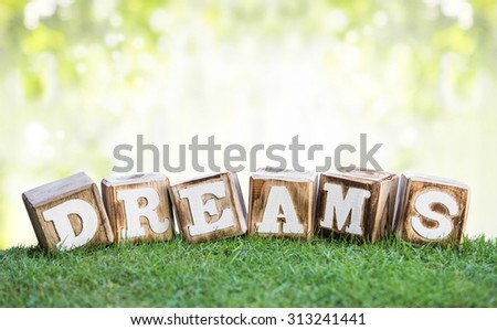 still life of DREAMS sign made of wooden blocks on a green grass with bokeh background