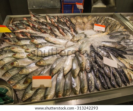 A portrait of fresh raw fishes in market stall
