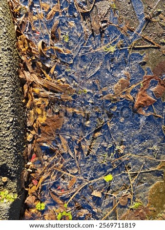 Similar – Image, Stock Photo A small dead frozen mouse lies on its side in the snow