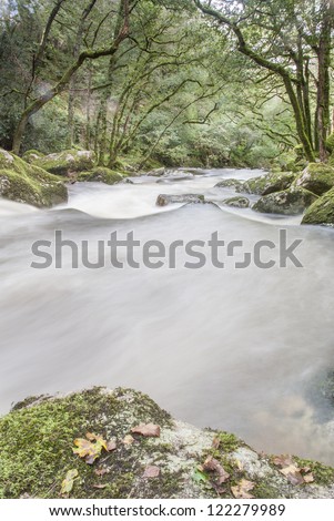 Slow shutter fast flowing river in woodland, Dartmoor, UK.
