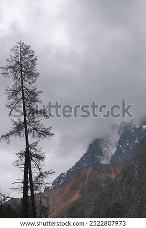 Similar – Image, Stock Photo Mountain peak with limited view over the Achensee in Tirol in Austria