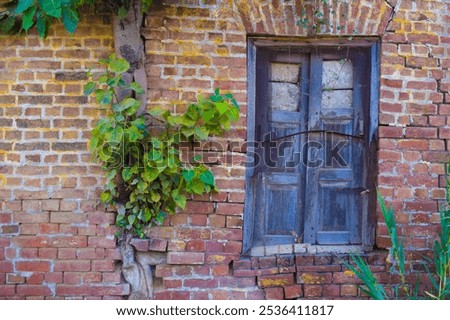 Image, Stock Photo Old masonry with lattice and two ivy trunks entwined around each other