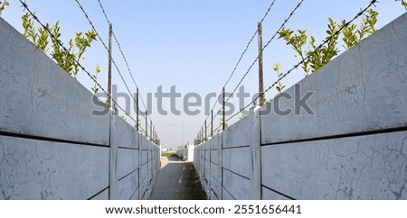 Similar – Foto Bild Reihen von Stacheldraht im Hintergrund ein verlassenes Wohngebäude mit zerbrochenen Fenstern. Konzept von Geisterstadt, Isolation und Sicherheit. Gefängnis, Flüchtling, Einsamkeit