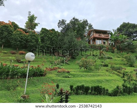 Similar – Image, Stock Photo Framed in balcony land (4th floor)