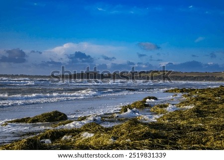 Similar – Image, Stock Photo windswept Wind Walking