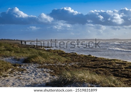 Similar – Image, Stock Photo windswept Wind Walking