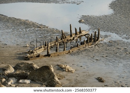 Image, Stock Photo wet sandy shore on sunny day in beach