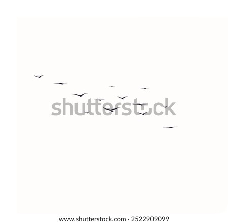 Similar – Image, Stock Photo Flock of birds against dark sky