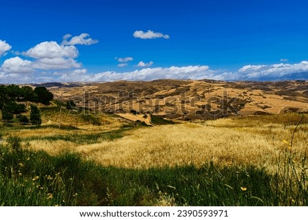 Similar – Image, Stock Photo Rural landscape near Santa maria Nuova and Osimo, Marche, Italy